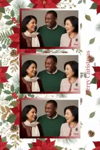 Noël classique aux poinsettias - Vivabox 5