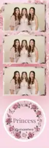 Quinze ans de princesse aux roses - Vivabox 1