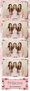 Quinze ans de princesse aux roses - Vivabox 2