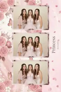 Quinze ans de princesse aux roses - Vivabox 5