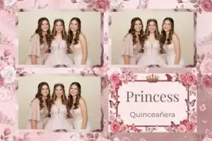 Quinze ans de princesse aux roses - Vivabox 4