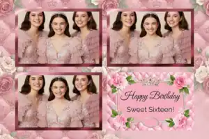 Fête de princesse rose capitonnée - Vivabox 4